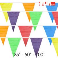 Party Pennant Flags