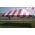 Party Tent Rental - Red & White - 20 x 30