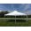 20 x 20 White Party Tent